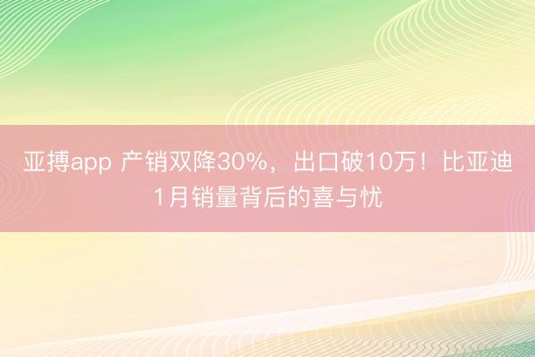 亚搏app 产销双降30%，出口破10万！比亚迪1月销量背后的喜与忧