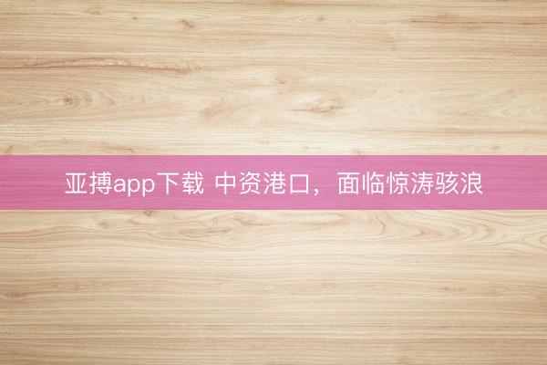 亚搏app下载 中资港口，面临惊涛骇浪