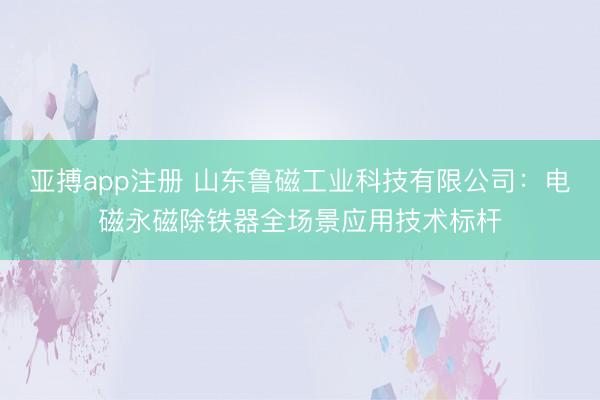 亚搏app注册 山东鲁磁工业科技有限公司：电磁永磁除铁器全场景应用技术标杆