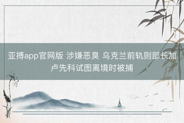 亚搏app官网版 涉嫌恶臭 乌克兰前轨则部长加卢先科试图离境时被捕