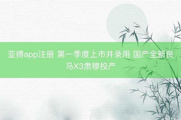 亚搏app注册 第一季度上市并录用 国产全新良马X3肃穆投产