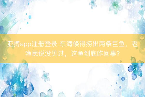 亚搏app注册登录 东海倏得捞出两条巨鱼,老渔民说没见过,这鱼到底咋回事?