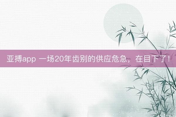 亚搏app 一场20年齿别的供应危急，在目下了！