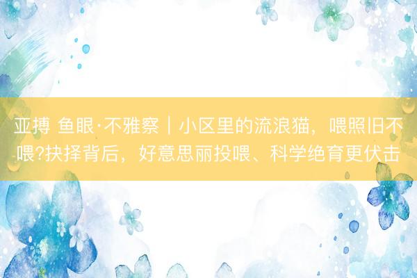 亚搏 鱼眼·不雅察｜小区里的流浪猫，喂照旧不喂?抉择背后，好意思丽投喂、科学绝育更伏击