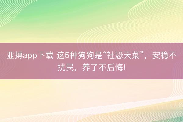 亚搏app下载 这5种狗狗是“社恐天菜”，安稳不扰民，养了不后悔!