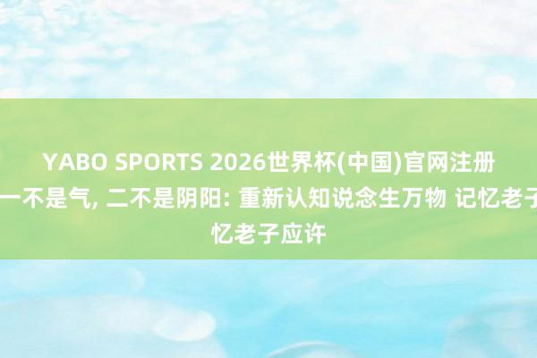 YABO SPORTS 2026世界杯(中国)官网注册登录 一不是气, 二不是阴阳: 重新认知说念生万物 记忆老子应许