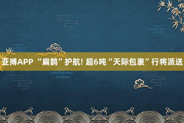 亚搏APP “扁鹊”护航! 超6吨“天际包裹”行将派送