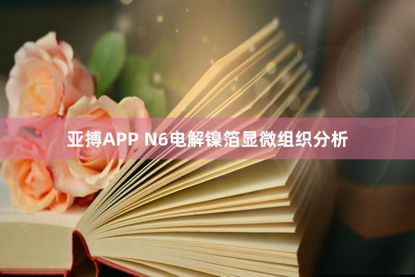 亚搏APP N6电解镍箔显微组织分析