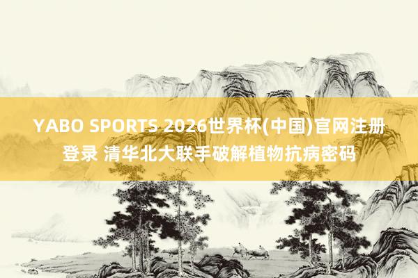 YABO SPORTS 2026世界杯(中国)官网注册登录 清华北大联手破解植物抗病密码