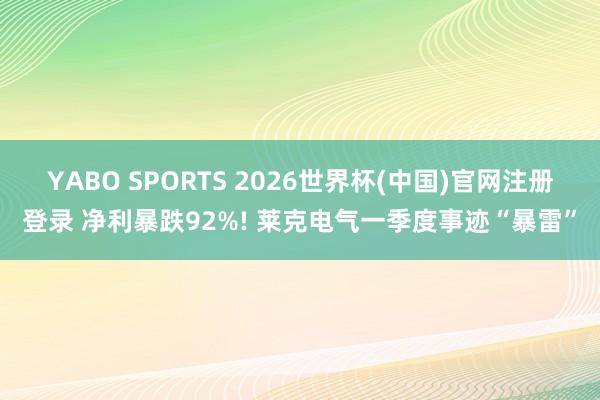 YABO SPORTS 2026世界杯(中国)官网注册登录 净利暴跌92%! 莱克电气一季度事迹“暴雷”