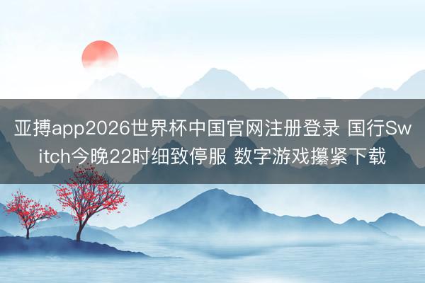 亚搏app2026世界杯中国官网注册登录 国行Switch今晚22时细致停服 数字游戏攥紧下载
