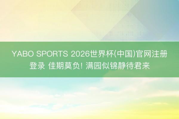 YABO SPORTS 2026世界杯(中国)官网注册登录 佳期莫负! 满园似锦静待君来