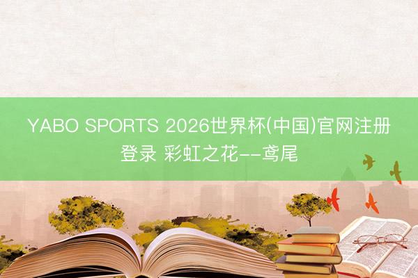 YABO SPORTS 2026世界杯(中国)官网注册登录 彩虹之花--鸢尾