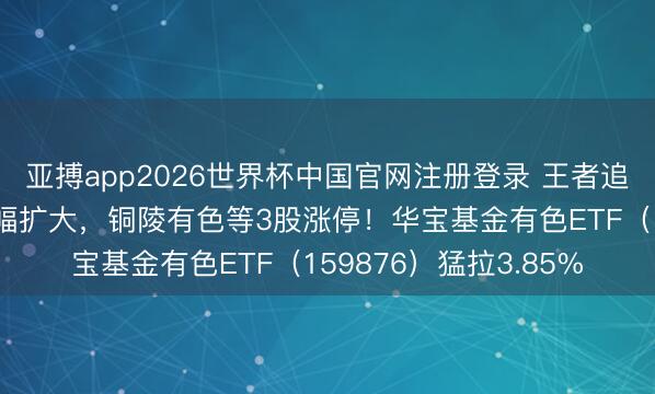 亚搏app2026世界杯中国官网注册登录 王者追想？有色金属午后涨幅扩大，铜陵有色等3股涨停！华宝基金有色ETF（159876）猛拉3.85%