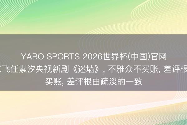 YABO SPORTS 2026世界杯(中国)官网注册登录 郭京飞任素汐央视新剧《迷墙》， 不雅众不买账， 差评根由疏淡的一致