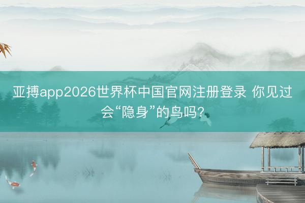 亚搏app2026世界杯中国官网注册登录 你见过
