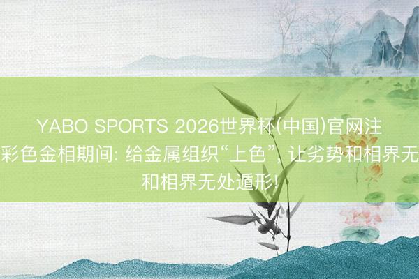 YABO SPORTS 2026世界杯(中国)官网注册登录 彩色金相期间: 给金属组织“上色”， 让劣势和相界无处遁形!