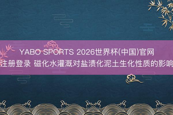 YABO SPORTS 2026世界杯(中国)官